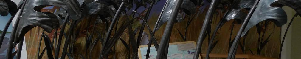 reed bed wetland bird song exhibit